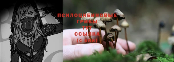 амф Лагань