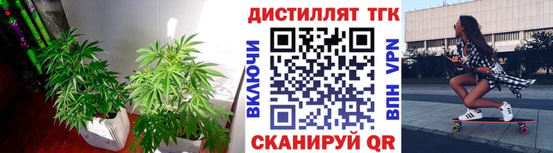 цена hydra ссылка Дистиллят ТГК концентрат Рассказово