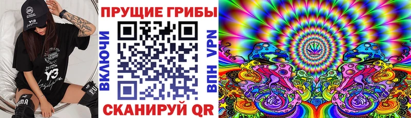 Псилоцибиновые грибы мицелий  Рассказово 