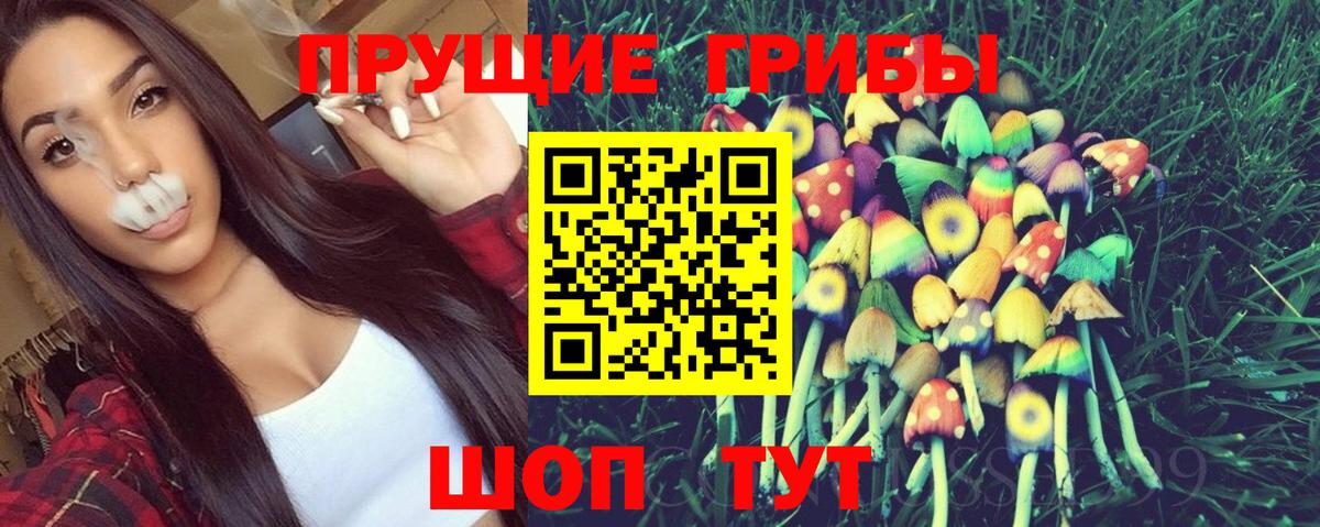 Псилоцибиновые грибы MAGIC MUSHROOMS  Вход с VPN  Рассказово 
