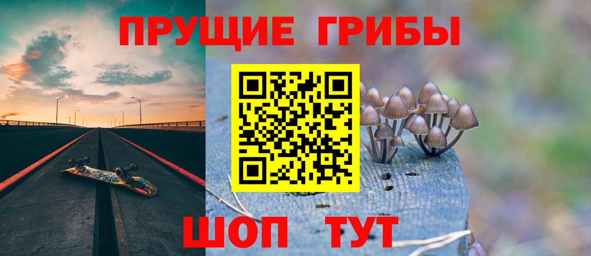 Псилоцибиновые грибы мицелий Рассказово