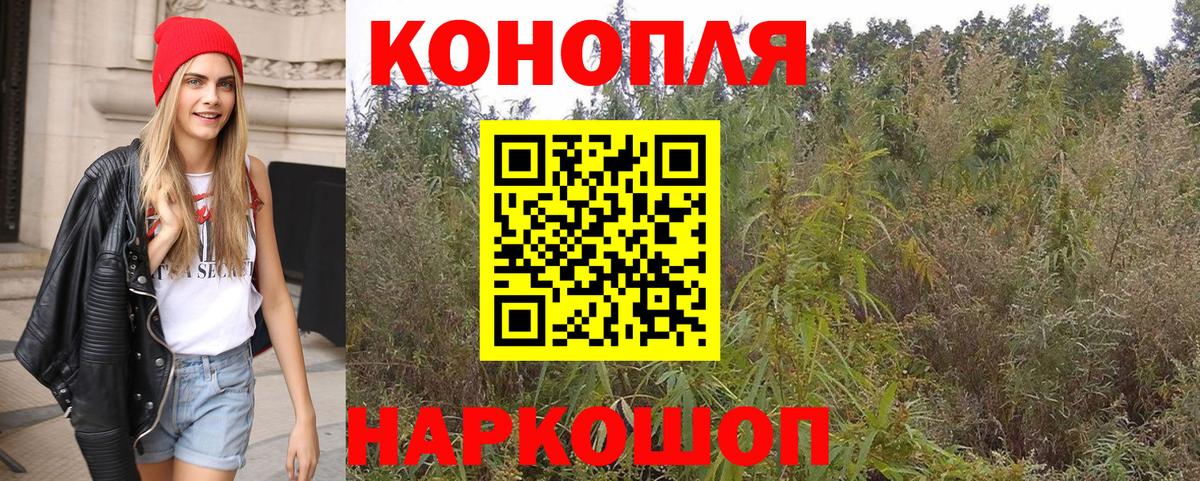 Бошки Шишки THC 21%  Вход с VPN  Рассказово  Шишки марихуана тримм 